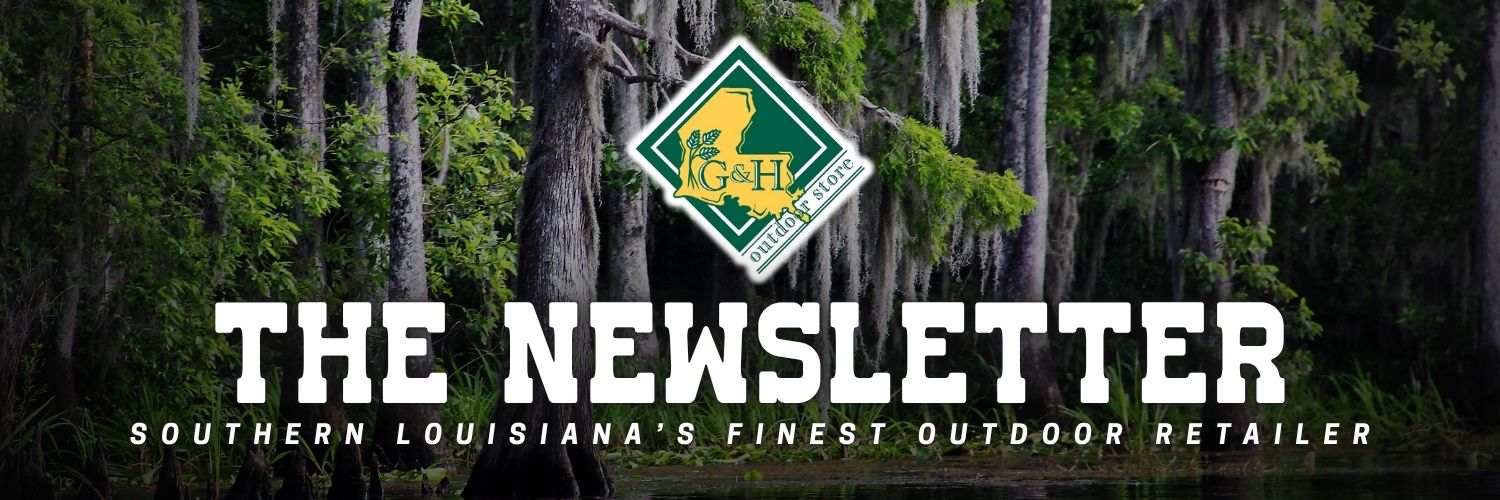 Newsletter Header Graphic