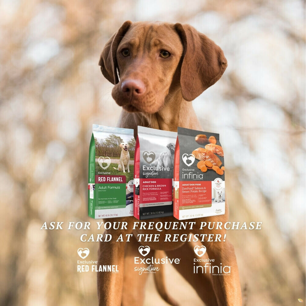 Social Media Highlight Image