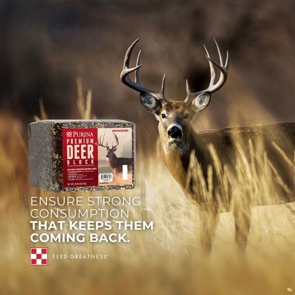 Social Media Highlight Image