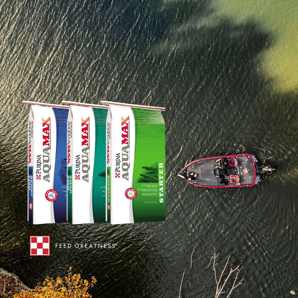 Social Media Highlight Image